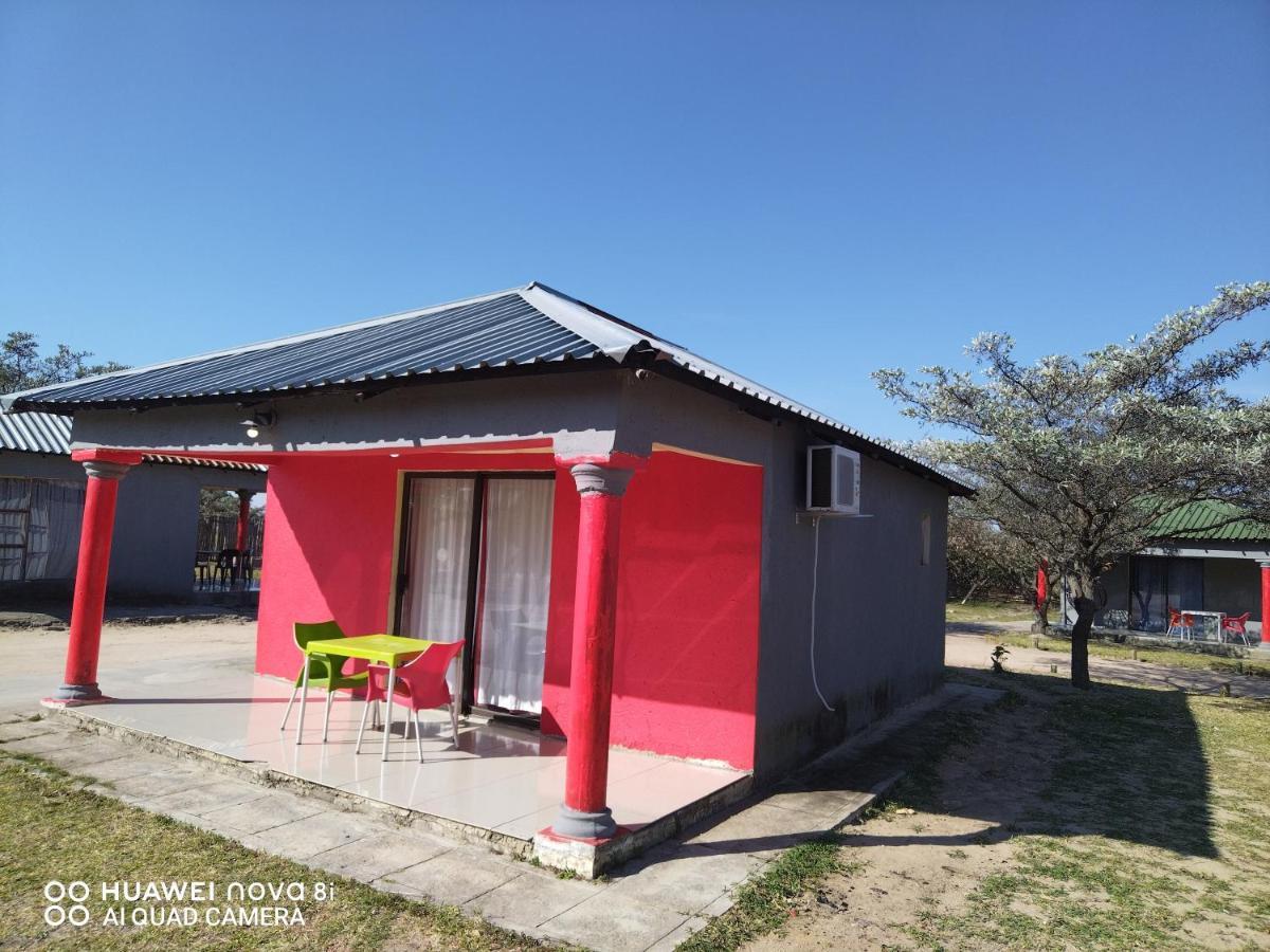 Moholoholo Lodge Acornhoek Kültér fotó